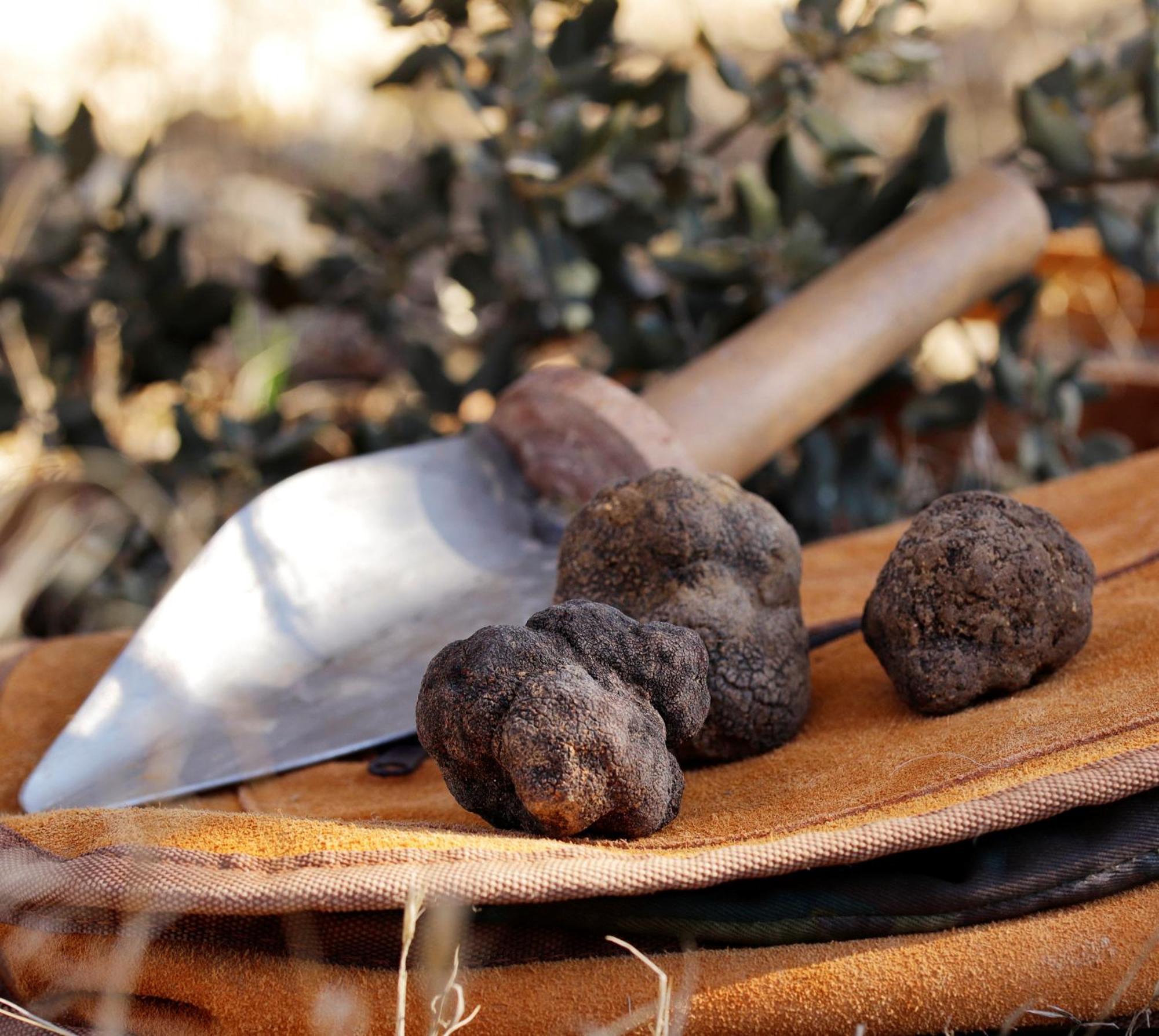 カラモチャAromas Del Jiloca, Tierra De Trufasアパートメント エクステリア 写真